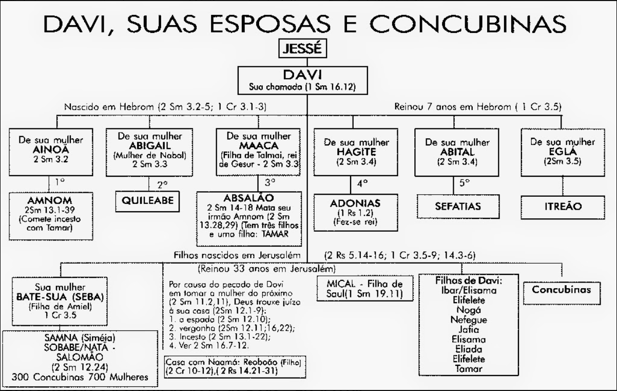 Quantos filhos Davi teve Palavra em Prática Estudos Bíblicos